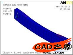 模型的裂紋分布圖