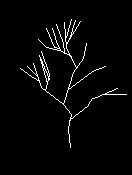 用CAD繪制落葉樹的方法