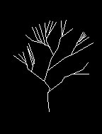 用CAD繪制落葉樹的方法