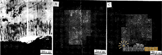 鋯的線分布和面分布探針照片